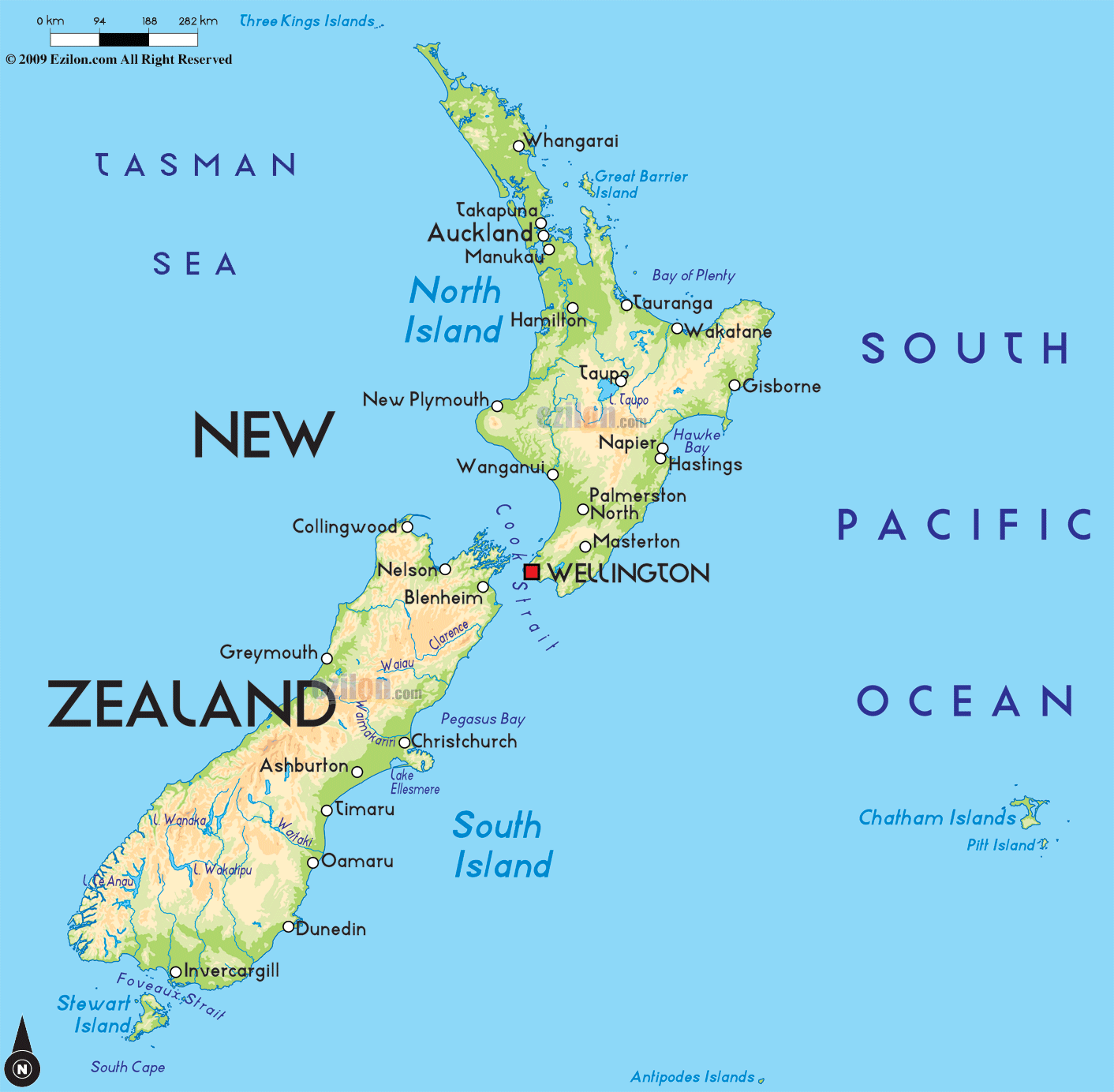 Rugby Live Scoring: New Zealand vs South Africa